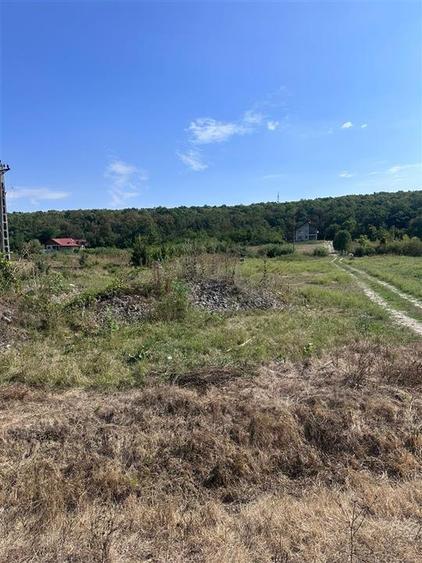 Teren Construcții intravilan de 740 mp, în Dumbrava (Ciurea)