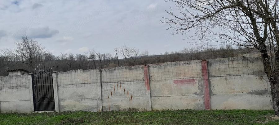 Casă cu Teren 11000 Mp în Pluta
