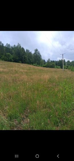 Teren agricol extravilan de 10050 mp, în Agârbiciu
