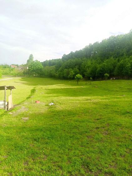 Teren de 5500 mp, în Drăganu