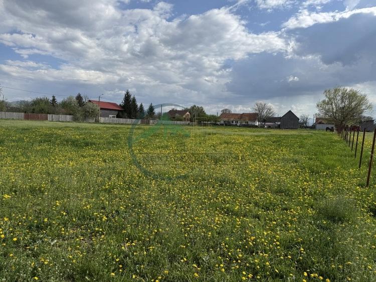 Teren Construcții intravilan de 6179.009765625 mp, în Băcel