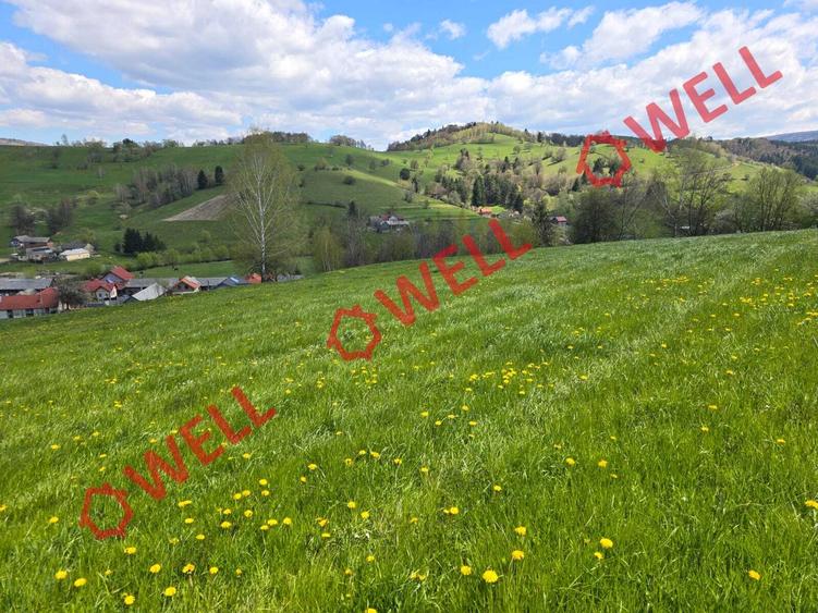 Teren extravilan de 8157 mp, în Sita Buzăului