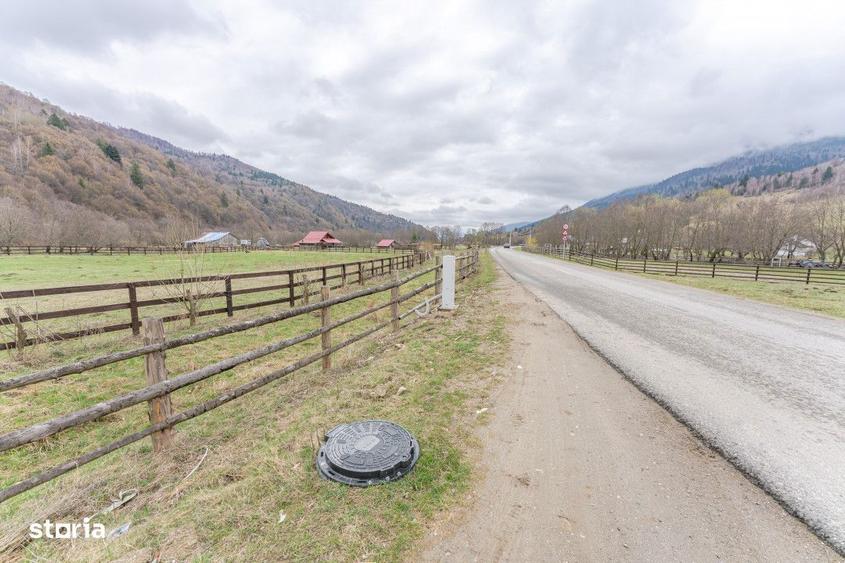 Teren de 6900 mp, în Plaiul Foii