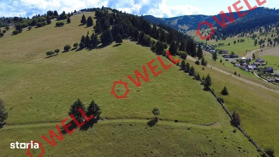 Teren de 109371 mp, în Lunca de Sus