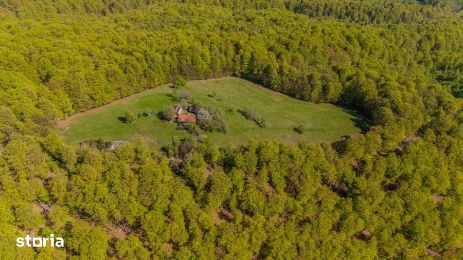 Teren de 21537 mp, în Noua