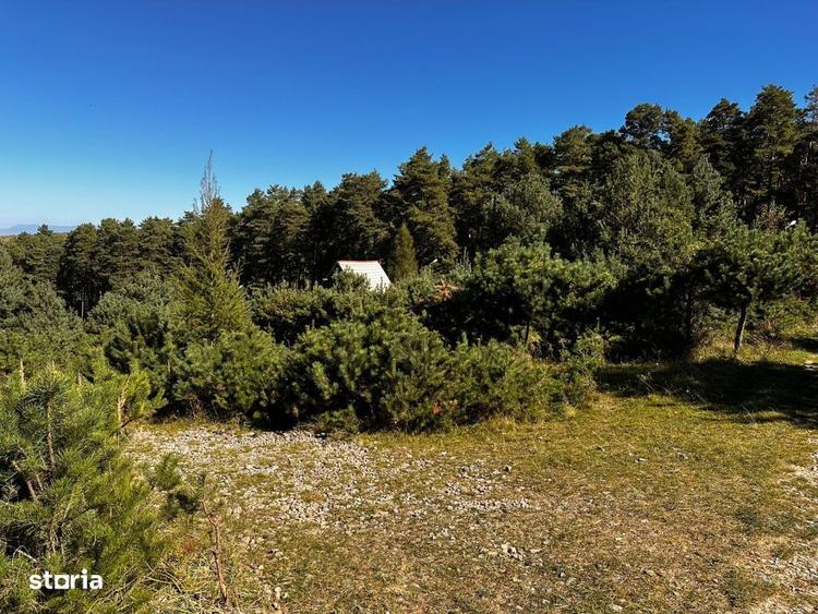 Teren de 600 mp, în Tărlungeni