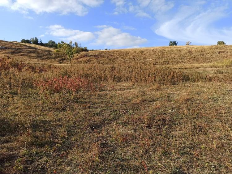 Teren de 21000 mp, în Jugureni