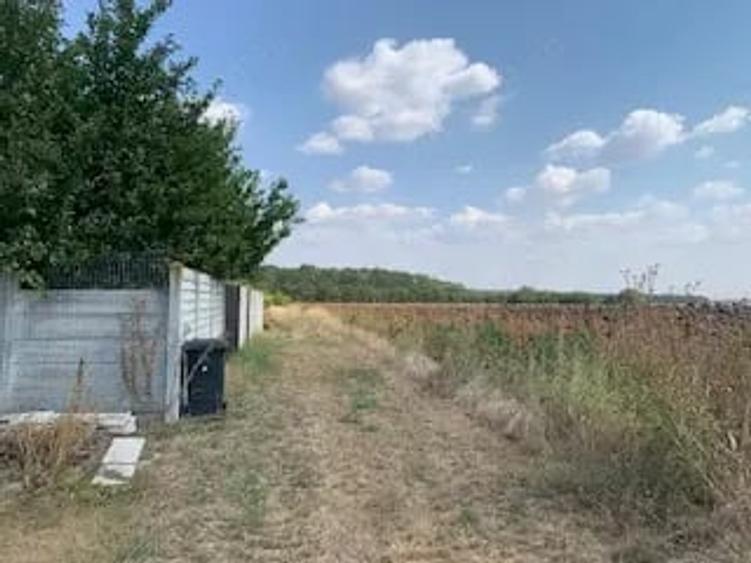 Teren în Vlădiceasca