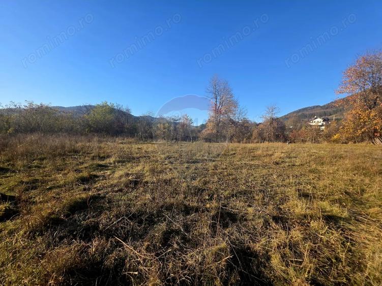 Teren de 6874 mp, în Alexandru cel Bun