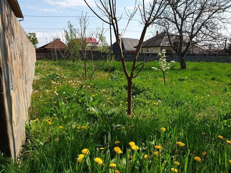 Teren de 1100 mp, în Gârdani