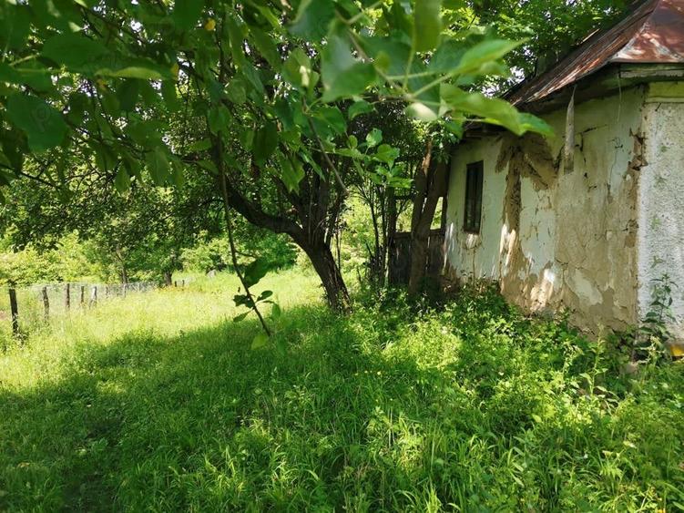 Teren de 2000 mp, în Cosmina de Sus
