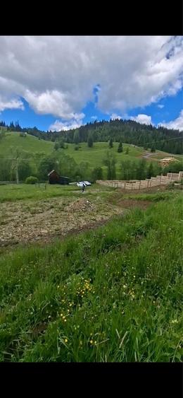 Vand teren la munte Bucovina INTRAVILAN - 1