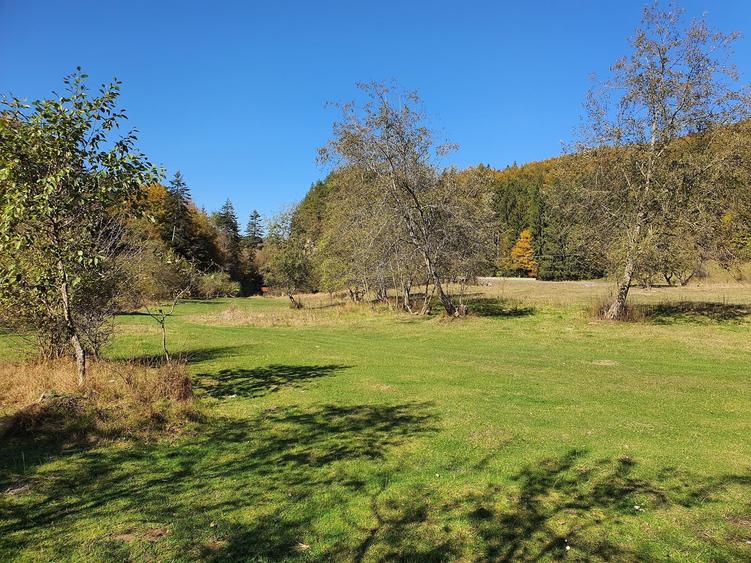 Teren agricol extravilan de 18800 mp, în Babarunca