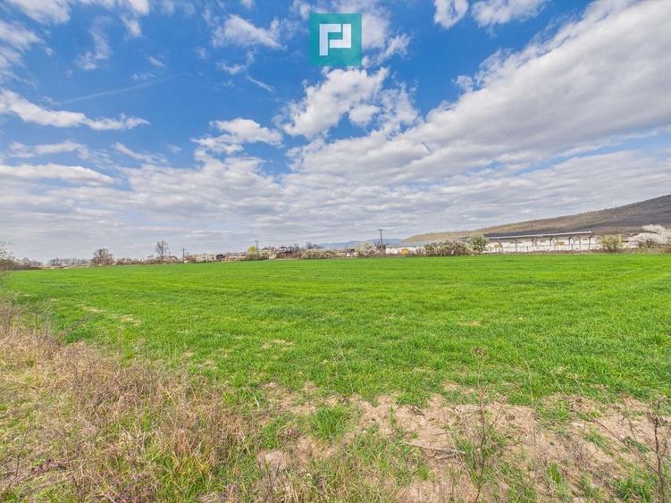 Teren agricol extravilan de 10000 mp, în Sud-Est
