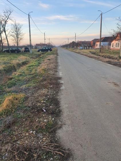Teren de 1100 mp, în Cenad