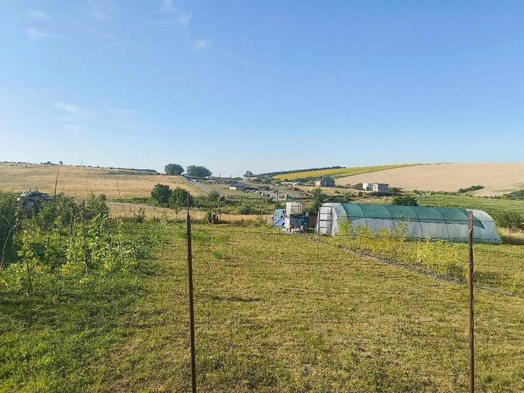 Vand teren extravilan dealul fana?elor 1095 mp sau parcelat 500 mp. - 3