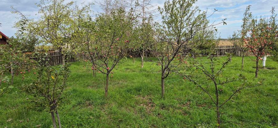 Casă cu 2 camere în Cornu Luncii