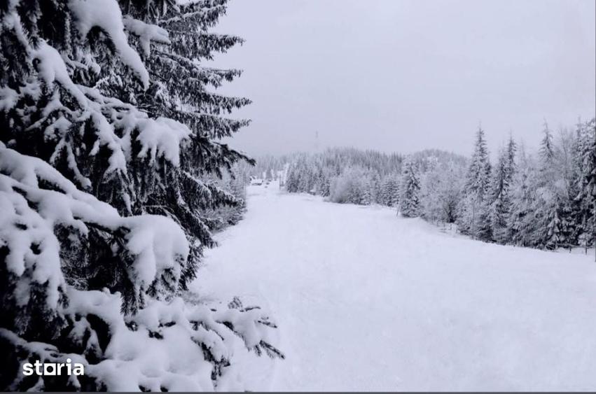 Teren de 280000 mp, în Iacobeni