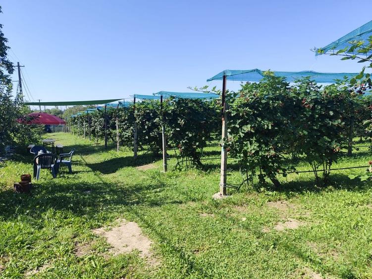 Proprietate specială, de 30 mp, în Nord