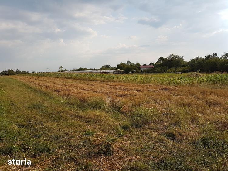 Teren de 8240 mp, în Galicea