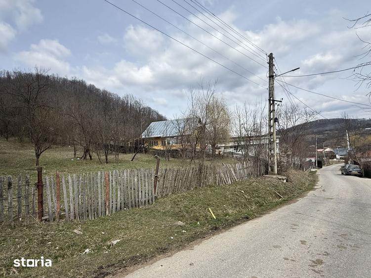 Teren de 6040 mp, în Provița de Jos