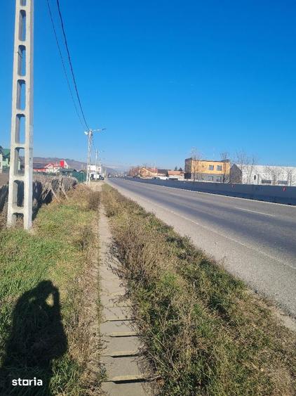 Teren de 86312 mp, în Mărăcineni