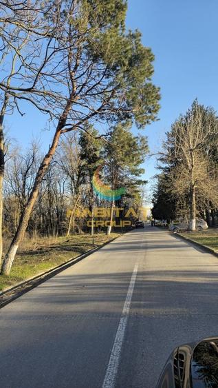 Teren Construcții intravilan de 15400 mp, în 1 Decembrie
