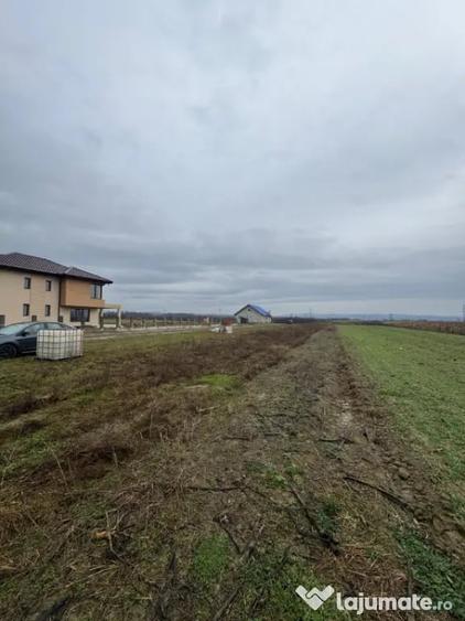 Teren de 5000 mp, în Mocira