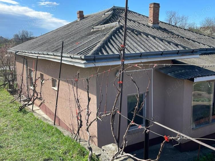 Casă cu 3 camere cu Teren 800 Mp în Hălăucești