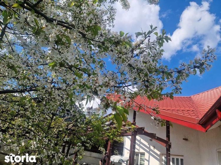 Casă cu 4 camere cu Teren 160 Mp în Bucium