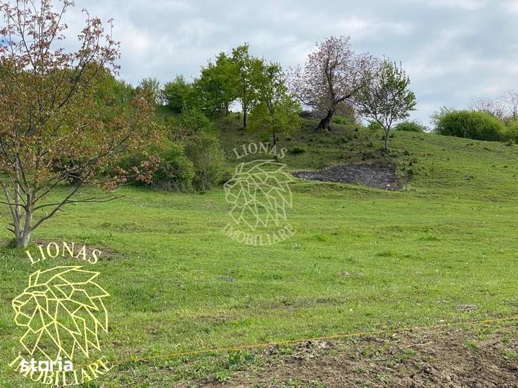 Teren de 5000 mp, în Feldru
