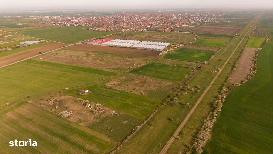 Teren de 6150 mp, în Livada