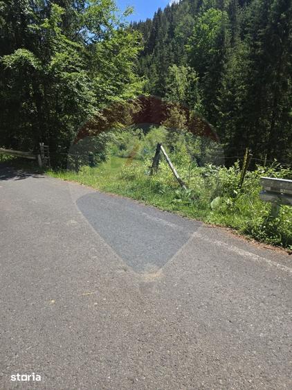Teren de 2966 mp, în Arieșeni