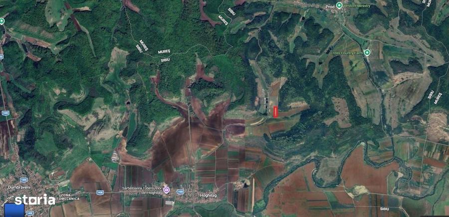 Teren de 7000 mp, în Hoghilag