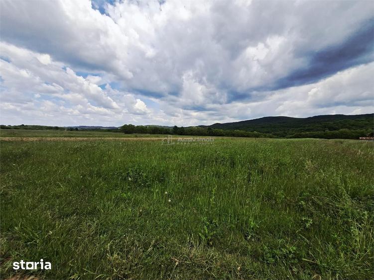 Teren de 500 mp, în Central