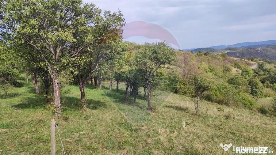 Teren de 3082 mp, în Damiș
