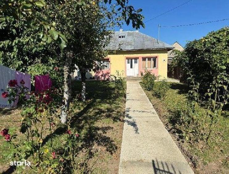 Casă cu 3 camere cu Teren 2000 Mp în Bârgăuani