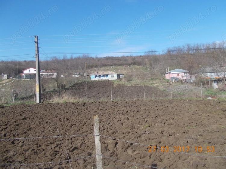 Teren de 3000 mp, în Odaia Manolache
