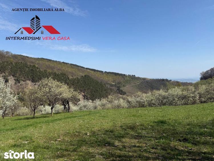 Teren de 13698 mp, în Vințu de Jos