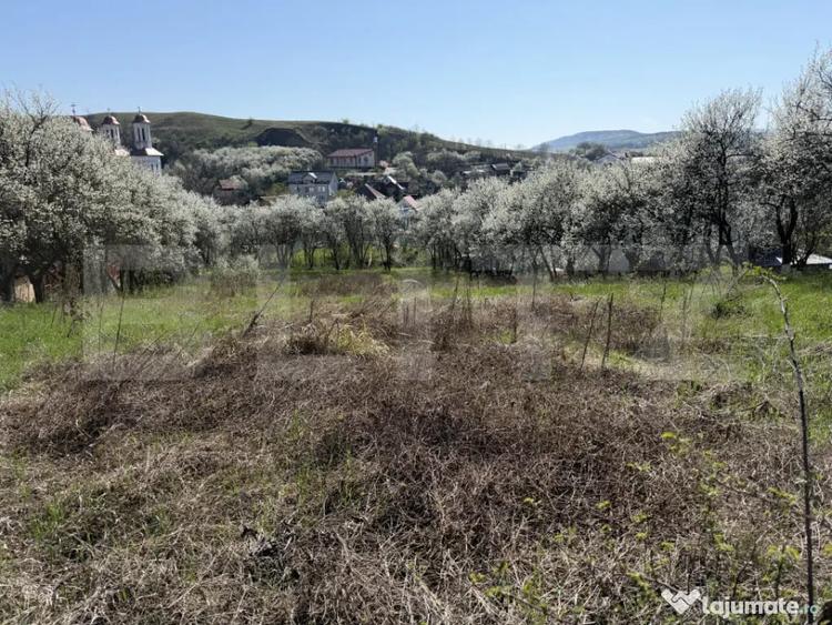 Teren intravilan in localitatea Criseni in suprafata de 2700 - 3