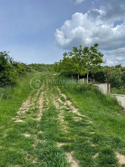 Teren agricol extravilan de 952 mp, în Bucium
