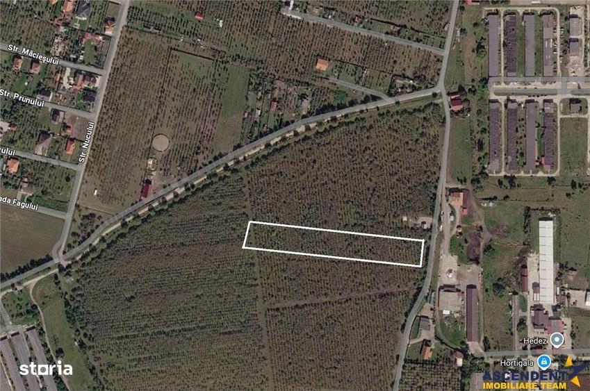 Spațiu comercial, în Sâncraiu