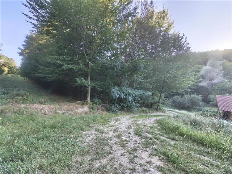 Teren agricol intravilan de 1000 mp, în Cisnădioara
