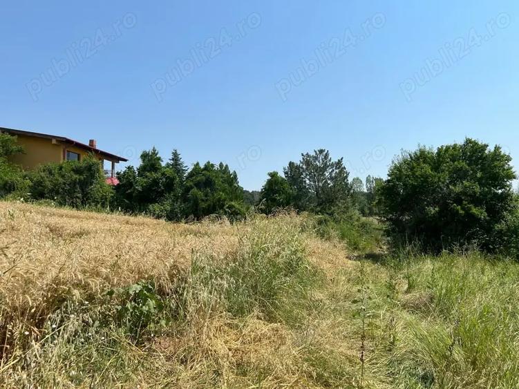 Teren de 4000 mp, în Ciolpani