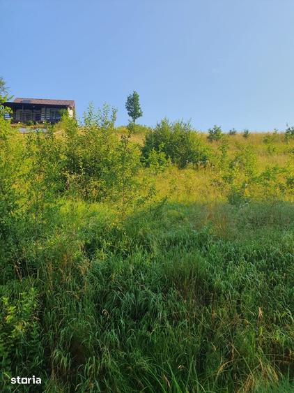 Teren de 1500 mp, în Bățani