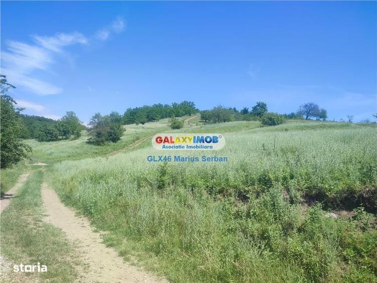 Spațiu comercial, în Răzvad