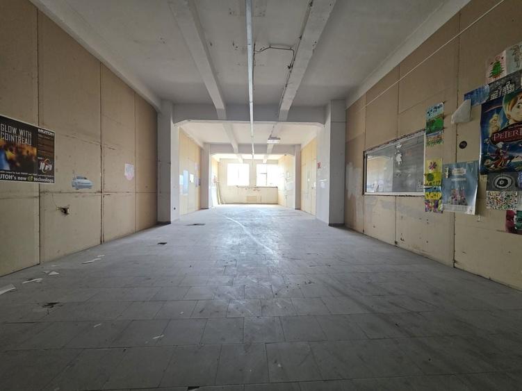 Spațiu industrial, de 50 mp, în Viilor