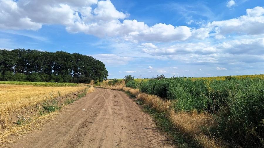 Teren agricol extravilan de 7961 mp, în Frumușani