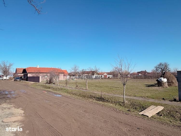 Spațiu comercial, în Șofronea