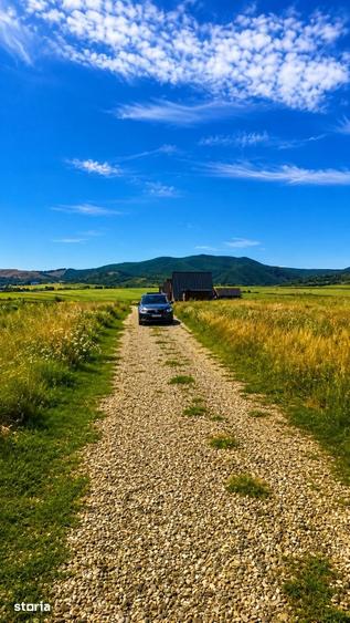 Teren de 1630 mp, în Luizi-Călugăra